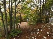 09 Si entra nel  bosco